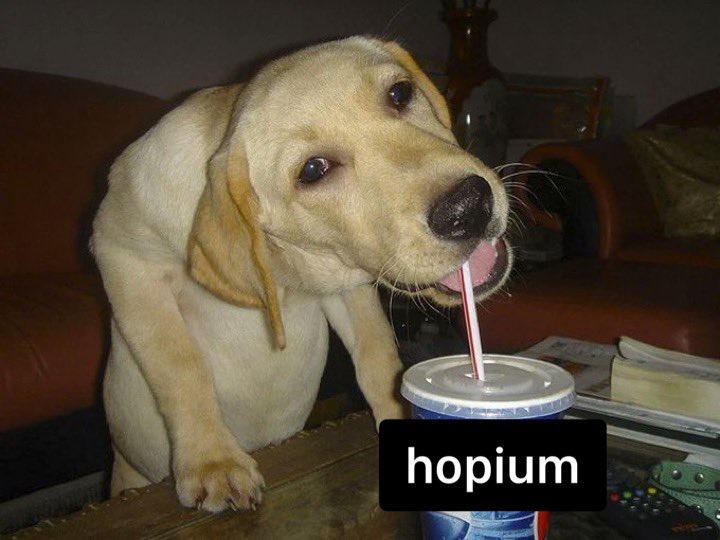 Live scenes of me rn #WeAreGeelong