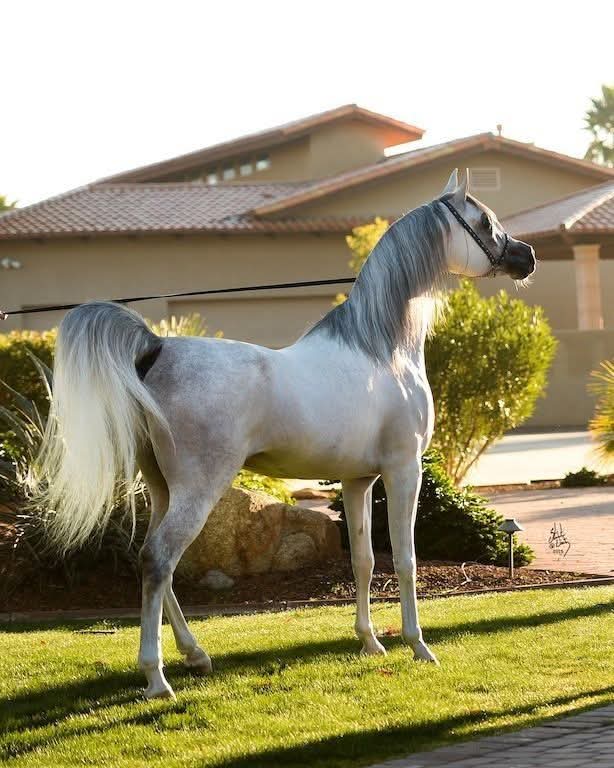 <a href="/y11j2/">ابو محمد</a> <a href="/88jjlli/">ڜۧاﭑمً ۥۦٰﮧ۬ۛ</a> <a href="/_i20i2/">اميرتهـ ...🅰️💙</a> <a href="/ks35z/">Al -Haytham</a> <a href="/j4v4k/">k.R</a> <a href="/dr4mf/">Dr abo Maan</a> <a href="/Iqb_66/">IQBAL_warraich</a> <a href="/1___A_1/">آلَälṩúĶúٍñكَوُنـــــــٌ ♡🇸🇦</a> <a href="/vib_11a/">مكتب أبو فهد لإصدار سكليف</a> <a href="/f5f5pp/">#من_الطائف 🇸🇦</a> <a href="/hame7/">🅷🅰🅼🅴🅳 🩸</a> <a href="/K39kq/">المشهدانية</a> <a href="/44ll74/">H.M</a> <a href="/m3wl3/">Majed</a> <a href="/iiiv50v/">v..y</a> <a href="/2V5U5/">شروق اليافعي</a> <a href="/qrlyfyd/">صقر اليافعي</a> <a href="/ghaawi/">محمد</a> <a href="/SEltaer/">Sayed zenhom altayar</a> <a href="/smt944/">لحظــــــــــة صمــــــــــت</a> <a href="/mdjdy6/">احمد جدي</a> <a href="/S55AFE/">⚘️MUSTAFA⚘️</a> <a href="/yutzw2/">دورة الانعاش القلبي BLS_ACLS_PALS</a> <a href="/Azhrls1/">AZHARUL SALMAN</a> <a href="/sskoors/">خالد .</a> <a href="/97FG33/">🇮🇶✨💫عراقيٰه واسہٰميٰ يٰهزالہٰگاع 👑</a> <a href="/SSy3u5/">s.u.s</a> <a href="/saaw35/">AH</a> <a href="/24_md1/">最新裏垢情報局</a> <a href="/cr77ksa/">cr7-ksa</a> <a href="/ss24yy1/">s.y.u</a> <a href="/hmep63/">حمدي محمد</a> <a href="/Fatonn0/">فتــــــــون</a> <a href="/Shomh30/">غيمه بـحـنـان</a> اختر لنفسـك عزيزآً يعــز عليه حـزنك
وتمسك باليد التي لا تغادرك 
وبالروح التي لا تفڪر أن تستبدلك 
عانق القلب الذي لا يمل منك
مهما فعلت ولا يخذلك
واختر لنفسك شخصًا إذا قَست عليك الأيام
يڪن لكَ فيه عشمٌ لا يخيب❤

الله يكرم اصلك ي الوفي #ابومحمد