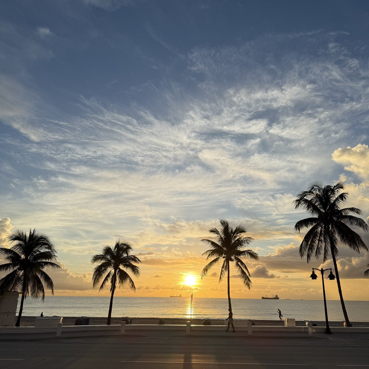 AlinaStJoh34202's tweet photo. Good morning ☀️🌴✨ Coffee, sunrise, and gratitude. Wishing you all a beautiful start to the day 💛 https://t.co/KpnaX5KxkE