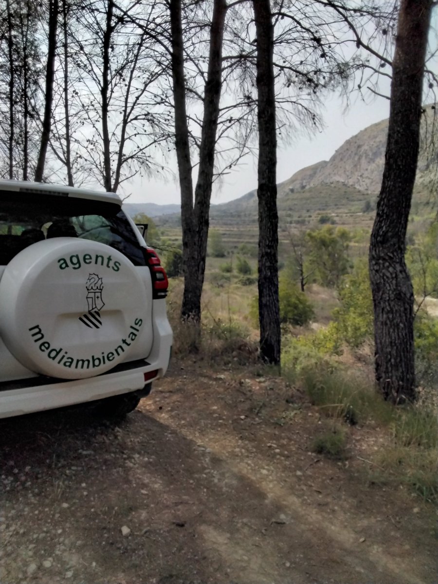 A tí, por visibilizar con humor parte de nuestro servicio.🖐🙋🏻‍♂️👮🏻‍♂️🚔👮🏻‍♀️