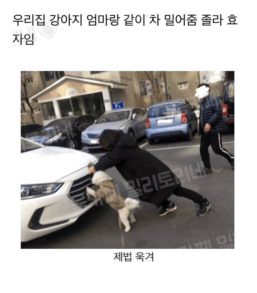 챱 tweet media
