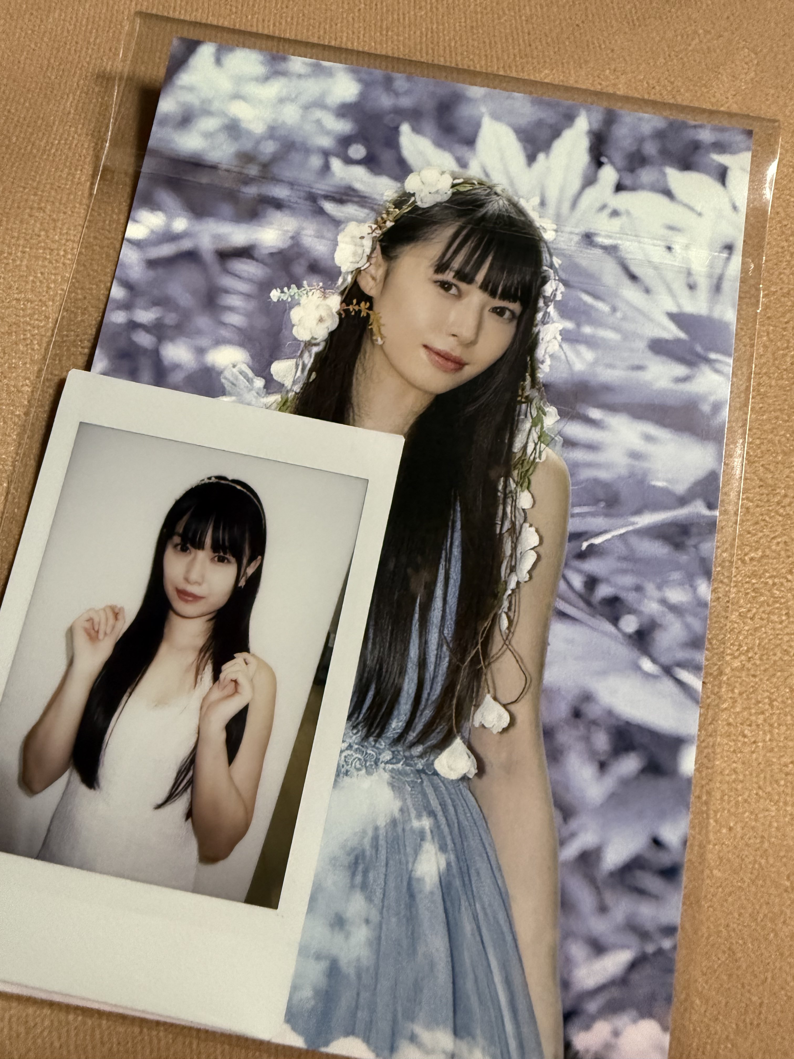 EBiDAN39&KiDS 生写真 チェキ EBiDAN39&KiDS 生写真 チェキ EBiDAN39&KiDS 生写真 チェキ
