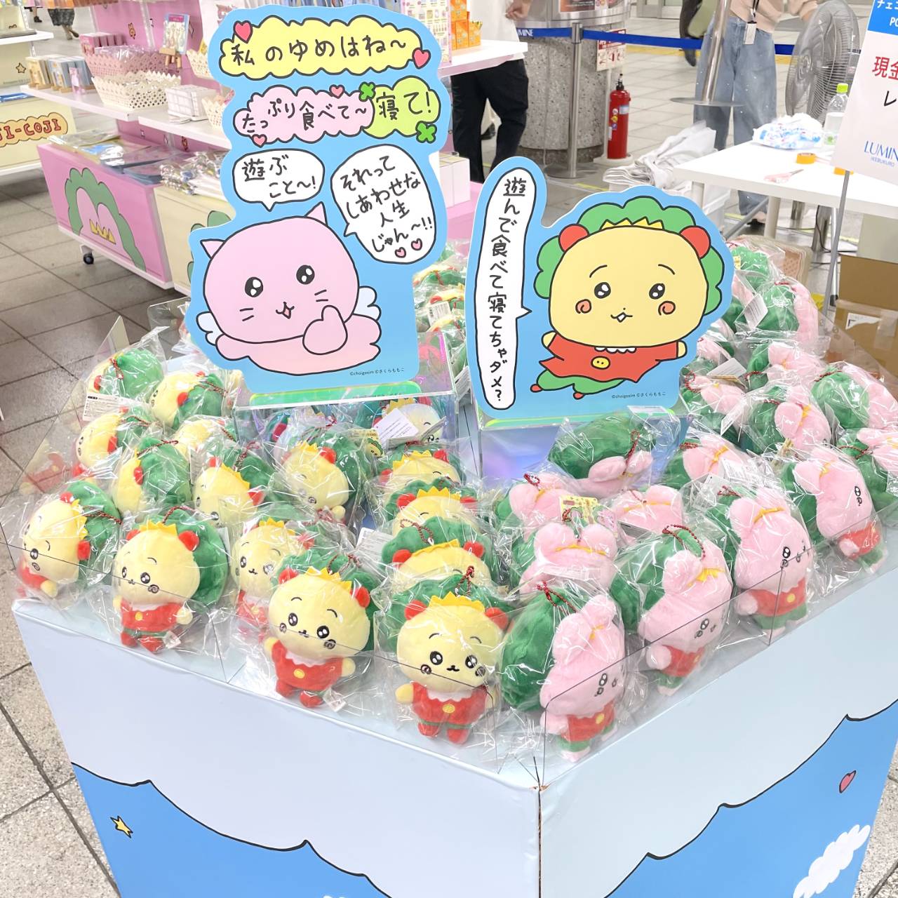POP UP NEXT / ポップアップネクスト (@POPUPNEXT1) / X