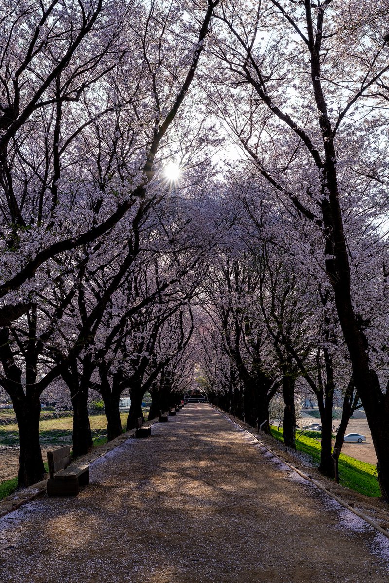 Andong-Si, Gyeongsangbuk- do, S.Korea