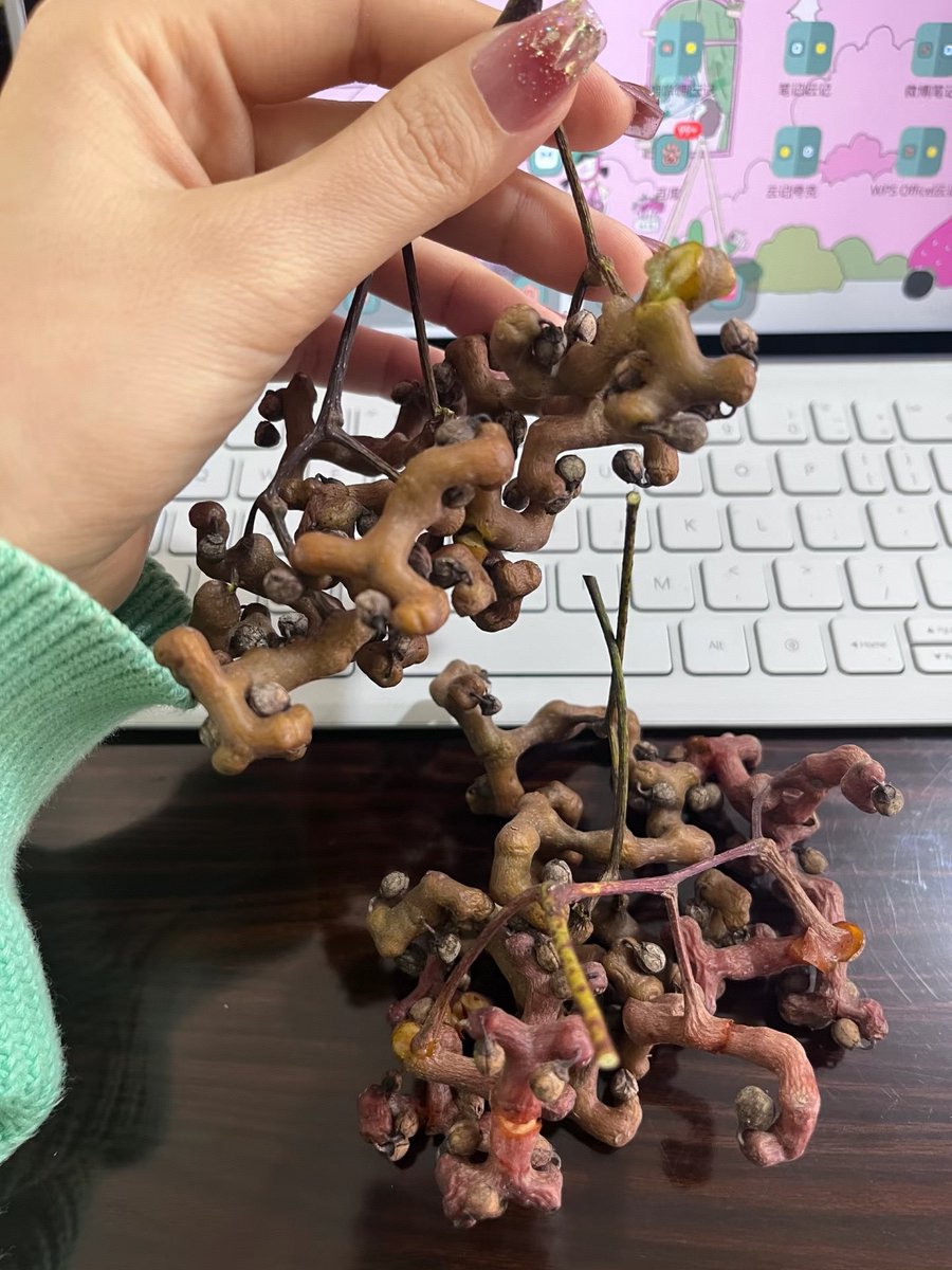 谁吃过这个？
Who eat it?