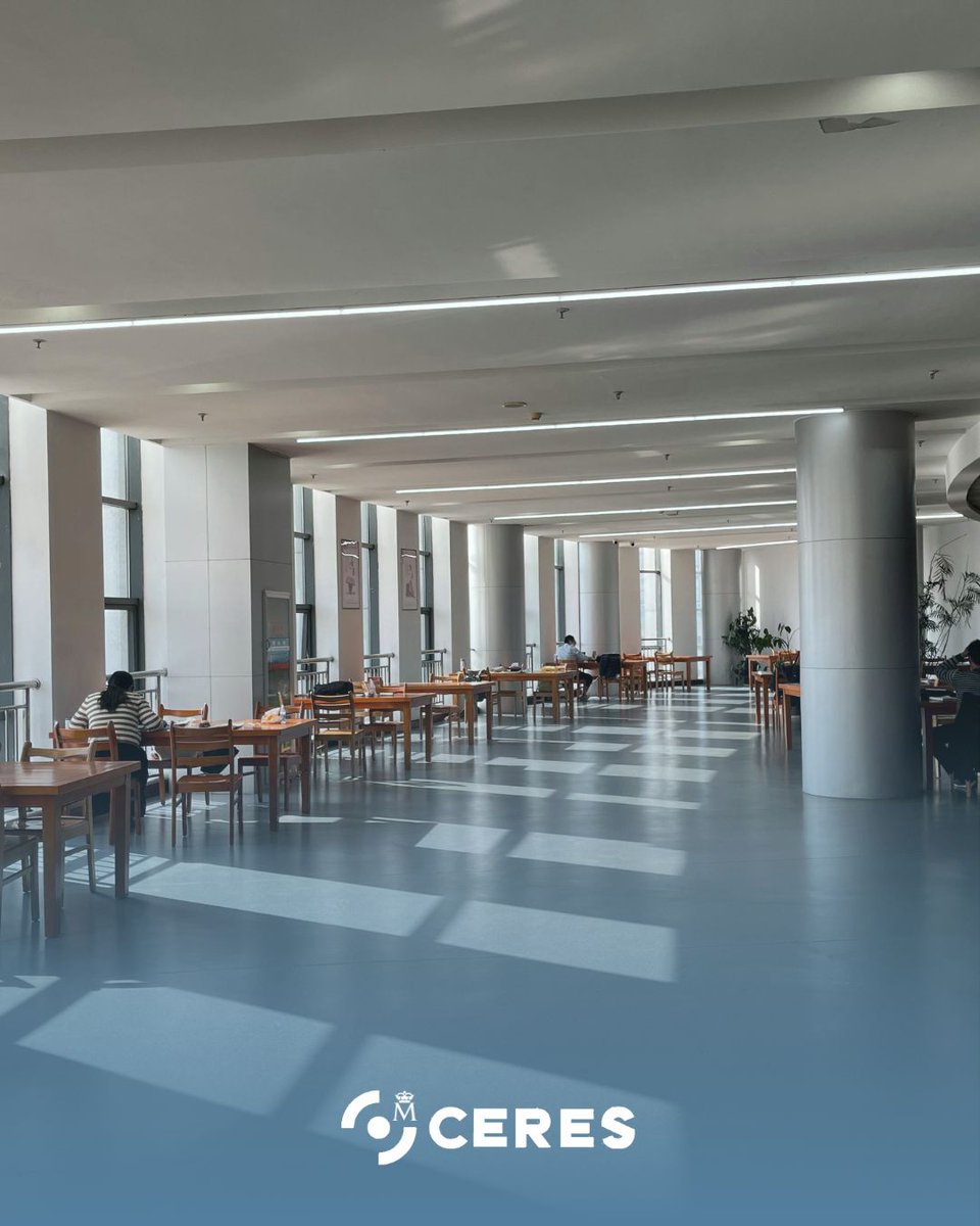 🎓 ¿Empiezas o vuelves a la universidad?
Ahorra tiempo en tus gestiones: matrícula, becas, Erasmus, certificados…

Con el certificado digital puedes hacer todos estos trámites online, sin colas ni desplazamientos. ✅

📲 Infórmate aquí:
🔗 tucertificadodigital.es/vuelta-a-la-un…