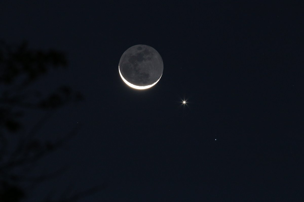 alexanderrogge's tweet photo. A waning crescent Moon danced in the sky with the planet Venus and the quadruple star-system Regulus in the constellation Leo this morning in the twilight before dawn. #Moon #Venus #Regulus #AlphaLeonis #Twilight #UnderneathTheStars #NightSky #Astronomy
https://t.co/jPMUlvZCzY https://t.co/hyD8fq0xh9