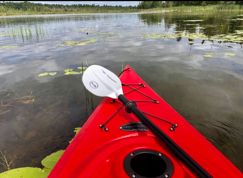 James🇨🇦🇨🇦🇨🇦🇨🇦 tweet media