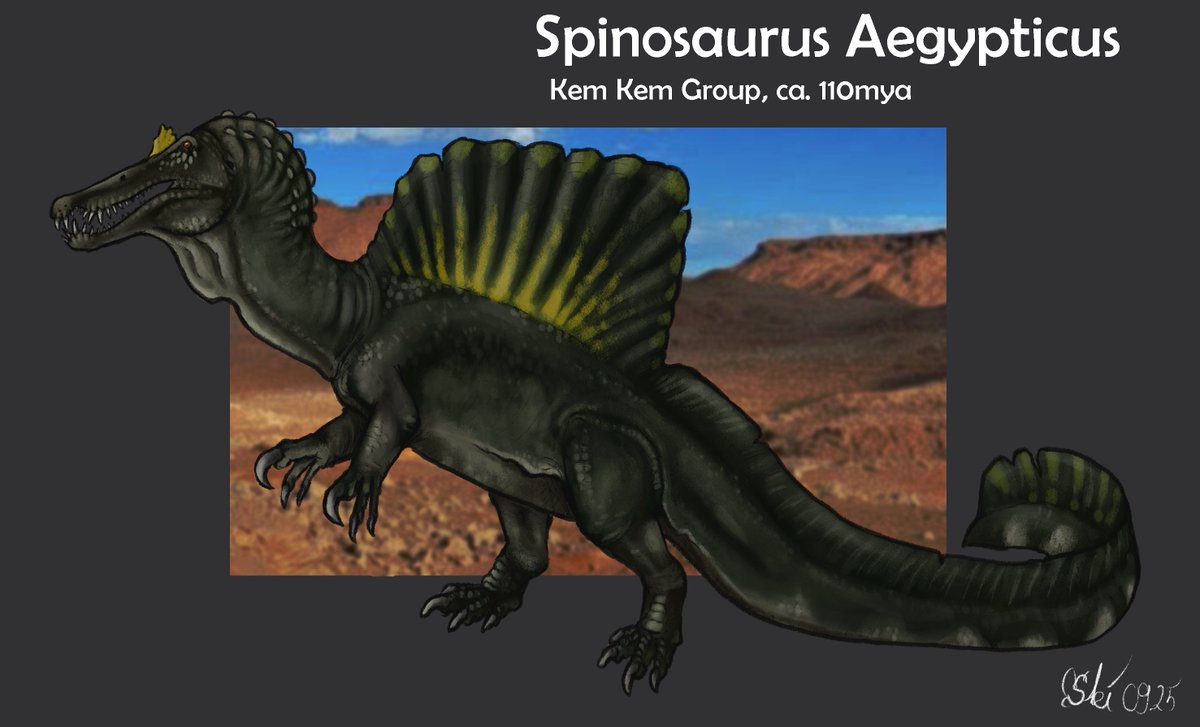 Self indulgant spinosaurus. Very Knightian
