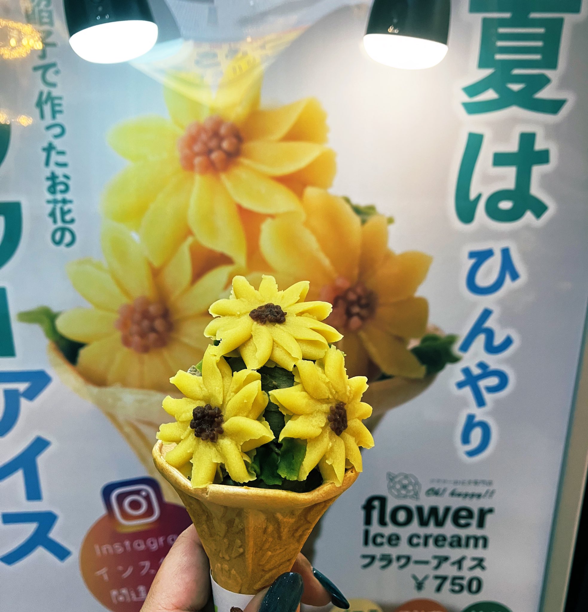 この (@kkN9MTFjK0FAOYR) / X