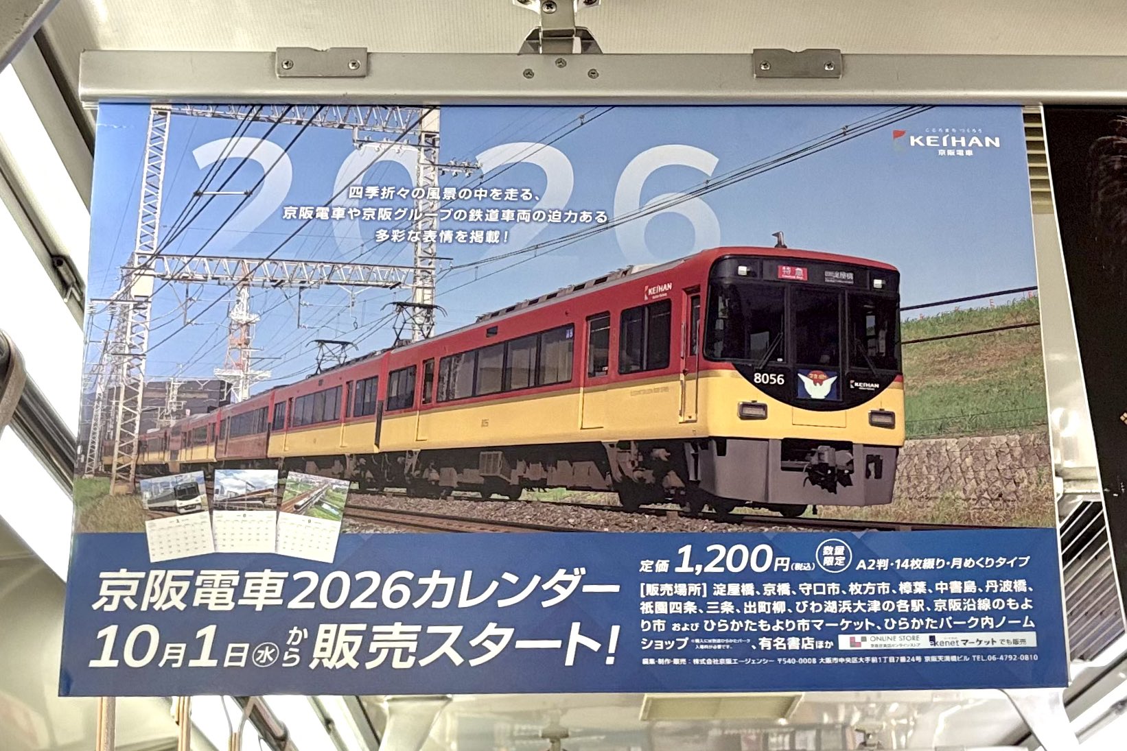 ✨*:.｡. forest .｡.:*✨ on X: 