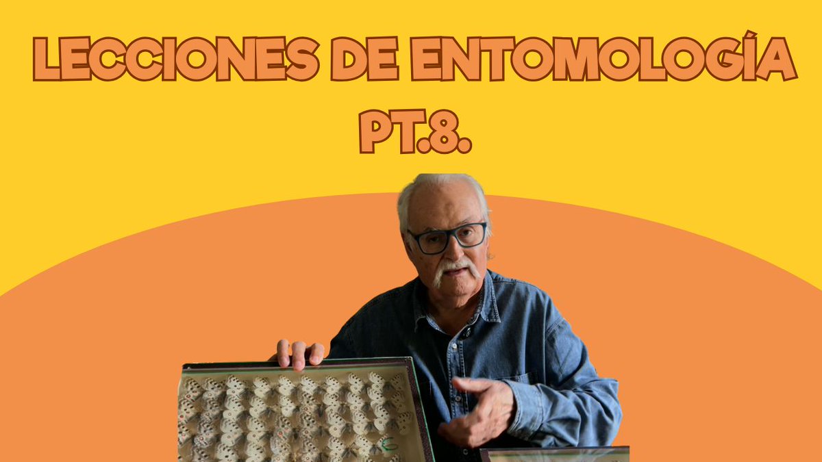 🦋 Lecciones de entomología pt.8.

❓¿Macho o hembra?

#ZoodeSantillana #SantillanadelMar #Cantabria #Zoo #CuidadorporunDía #Niños #PlanesconNiños  #venalZoodeSantillana #viviendoenunzoo #mariposa 
youtu.be/N3pt6iHy8xg