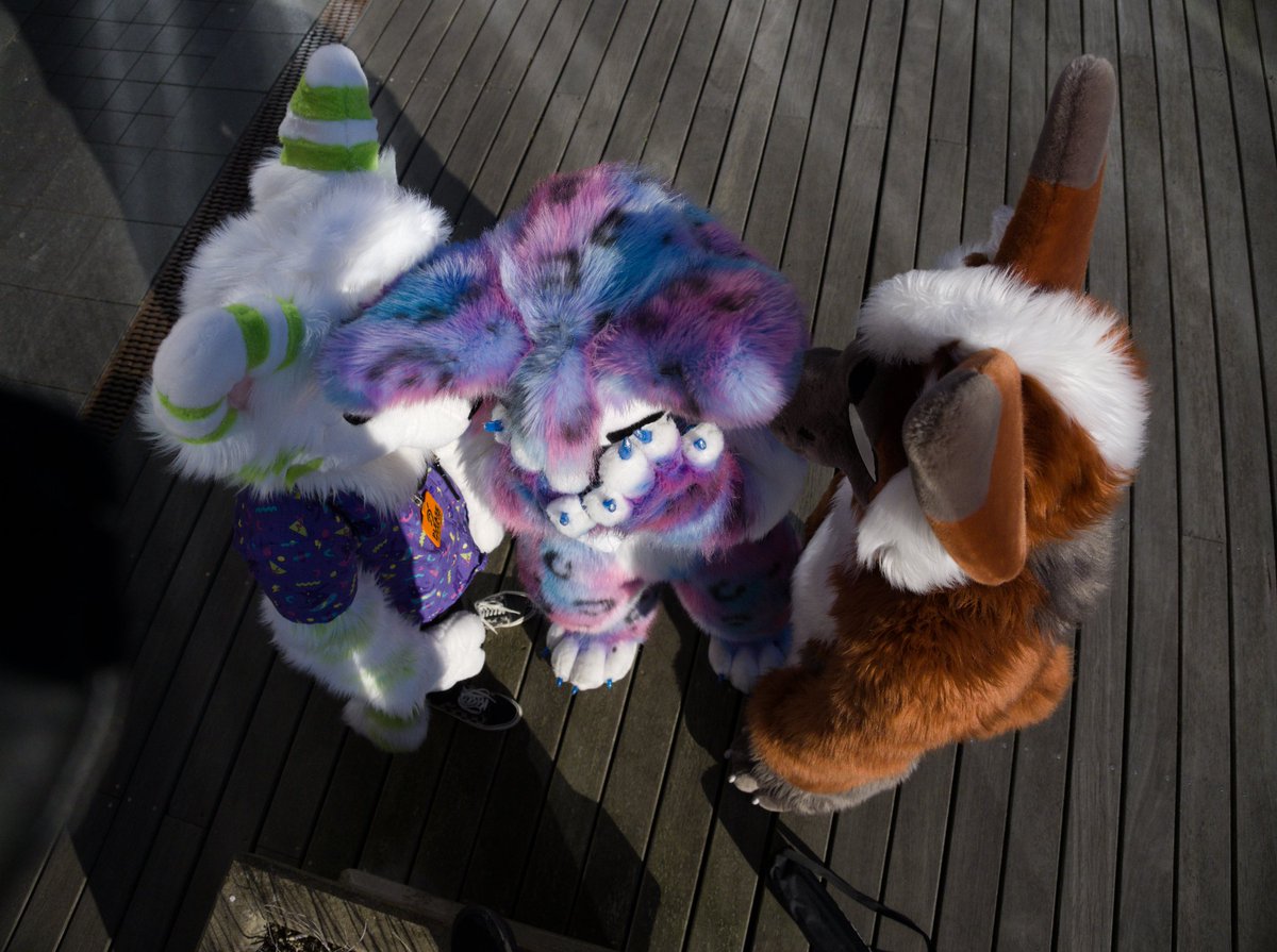 orionthefox's tweet image. 🦊 Bullying Astra: a lifestyle ✨️ 

😸 - @DexDaCat
😿 - @Astra_The_Kitty
📷 - fiend.photos