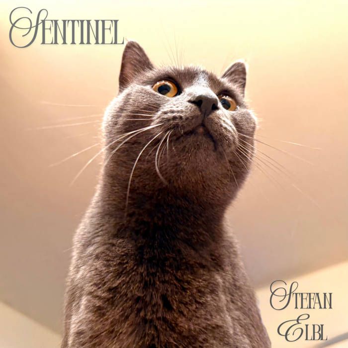 KKK 様専門【正規品未開封】Labubu Big into Energy10箱 正規品】Labubu ラブブ BigintoEnergy Labubu Big into Energy