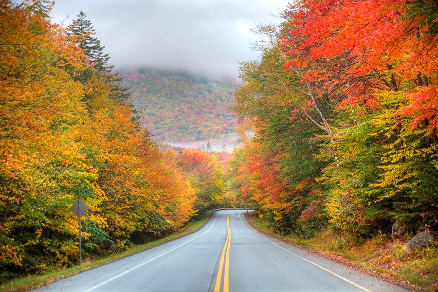 I have been on the road the last two weeks. Talking to people from all over the country. When they found out where I live almost every one would express love for the region or a desire to visit it someday. But I get to live here. It is good to be home.