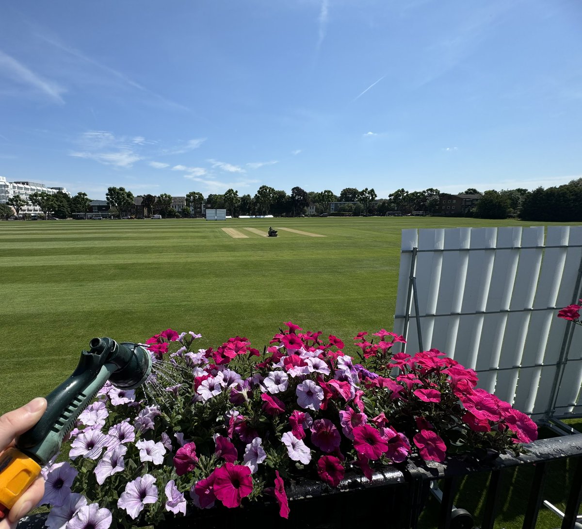 Louis Macklin tweet media