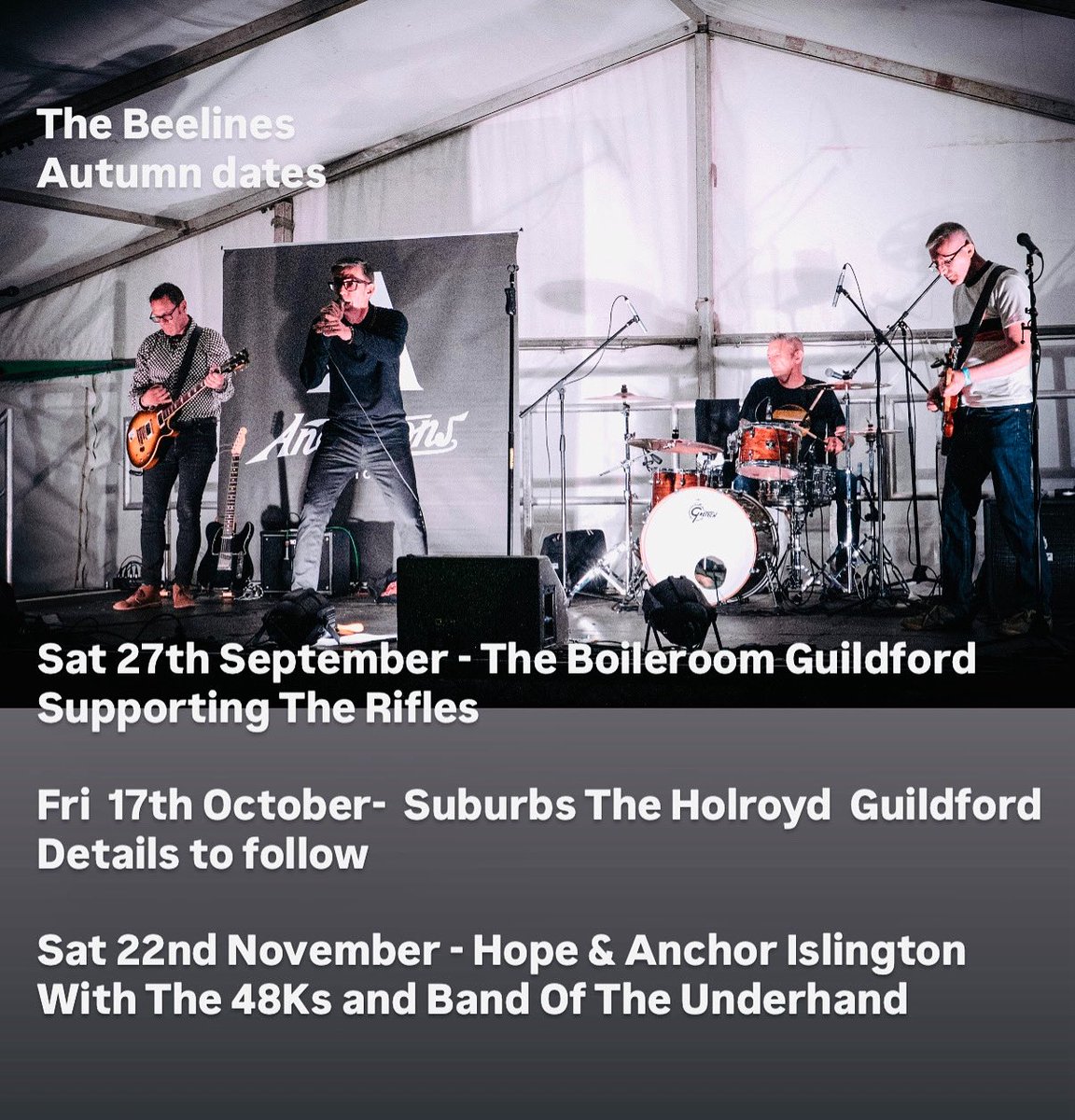 The Beelines tweet media