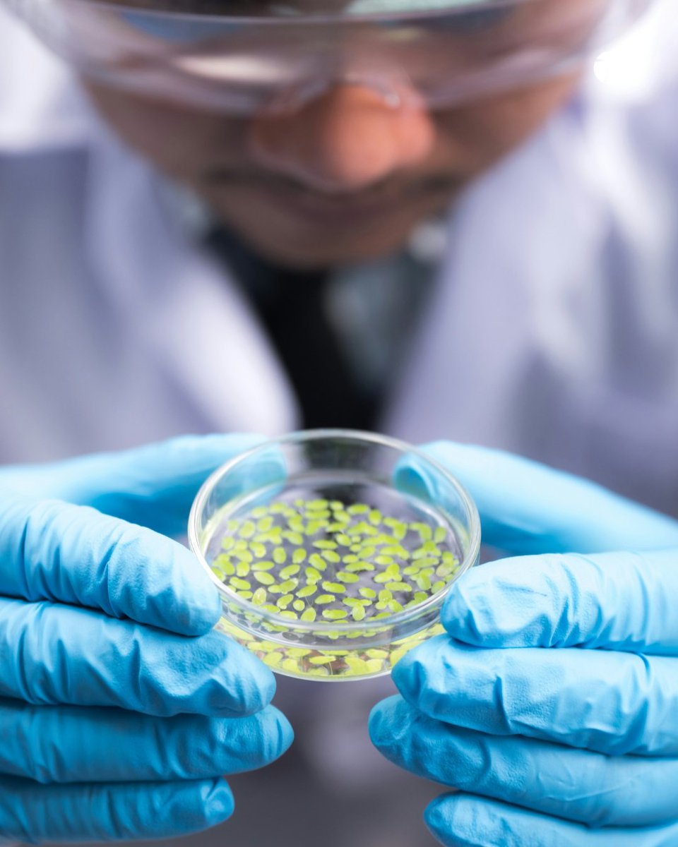 TechTeysha's tweet image. Plastics no more. KarmaCane, made from renewable agricultural waste and certified biodegradable under OECD 310, delivers durability and tunability without leaving a trace. From packaging to cosmetics, it’s a scalable solution for performance and sustainability.

#PlasticFree