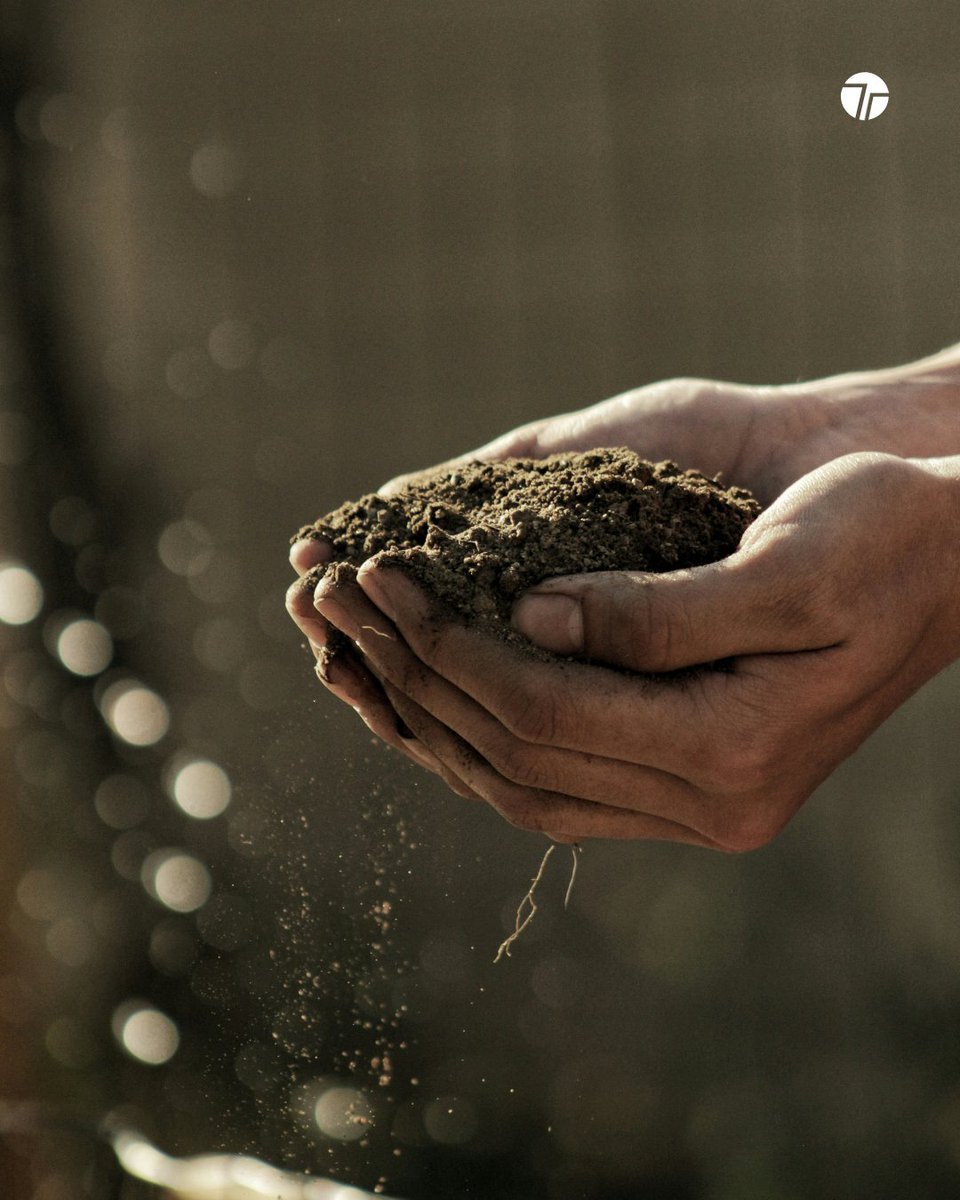 TechTeysha's tweet image. Plastics no more. KarmaCane, made from renewable agricultural waste and certified biodegradable under OECD 310, delivers durability and tunability without leaving a trace. From packaging to cosmetics, it’s a scalable solution for performance and sustainability.

#PlasticFree