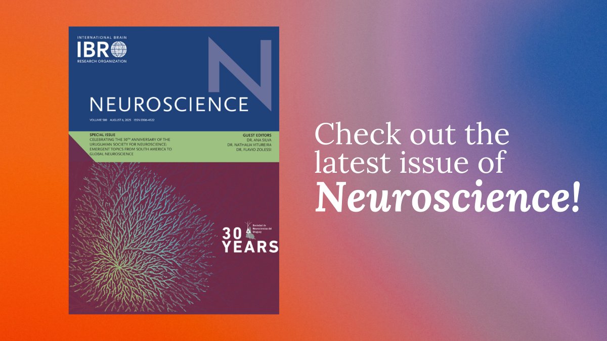 IBRO Journals tweet media