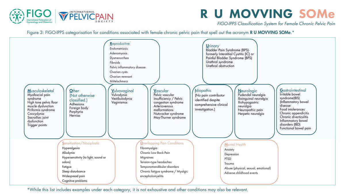 FIGO and the International Pelvic Pain Society (IPPS) have launched a new global classification system to improve diagnosis, management, education and research in chronic pelvic pain (CPP).

CPP affects millions of women worldwide and has long been underdiagnosed and
