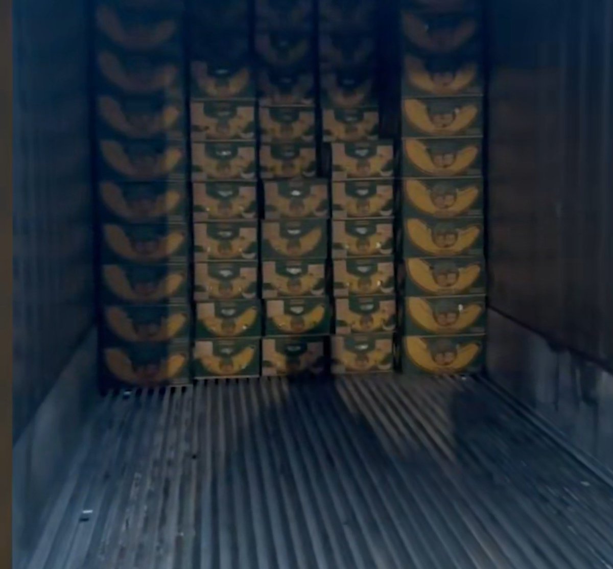 En Rusia acaba de caer el mayor cargamento de cocaína (1.750 kilos), de la historia judicial de ese país. Estaba escondido en bananos.

¿Adivinen qué? La empresa que envío la coca es de Ecuador. Y <a href="/DanielNoboaOk/">Daniel Noboa Azin</a> es el mayor "empresario" bananero.

Y Trump "vigilando" Venezuela.