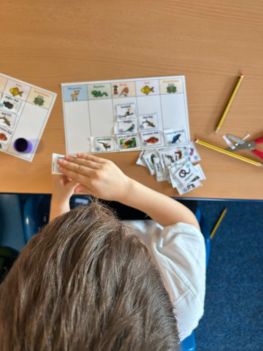 Year 1 have been zoologists in science this week! We have completed our science TAPS assessment and classified the animals. Great work Year 1! <a href="/the3saints/">The Three Saints Academy Trust</a>