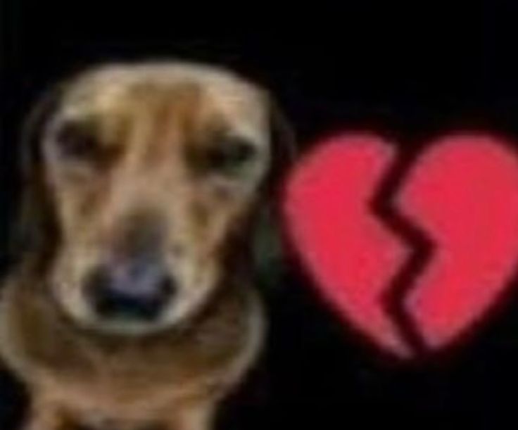 sweeTh4y's tweet photo. @skpfoda ooooo tadinho dele coitadinho fica tweetando rebaixando os colegas de curso e seus trabalhos, coitadinho quer suprir a falta de alguma coisa na própria vida se achando melhor que os outros 🥺🥺🥺🥺🥺🥺 https://t.co/sfxWIVoMbI