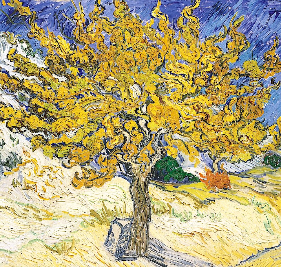 Would mustard-seed scale faith move us to bold action, even when the prospects of success seem slight, asks John Carroll in this Working Preacher blog. What superior people might be willing to flip the script? Jesus himself is the answer in Luke's Gospel
loom.ly/r0T-sJs