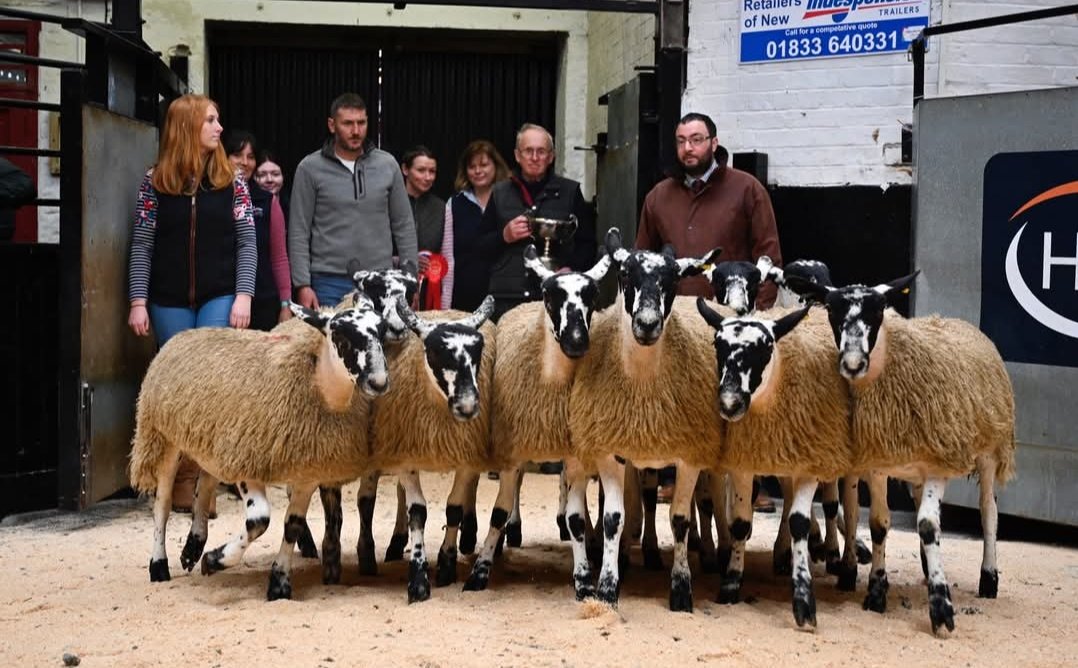 Hill House West Farm tweet media