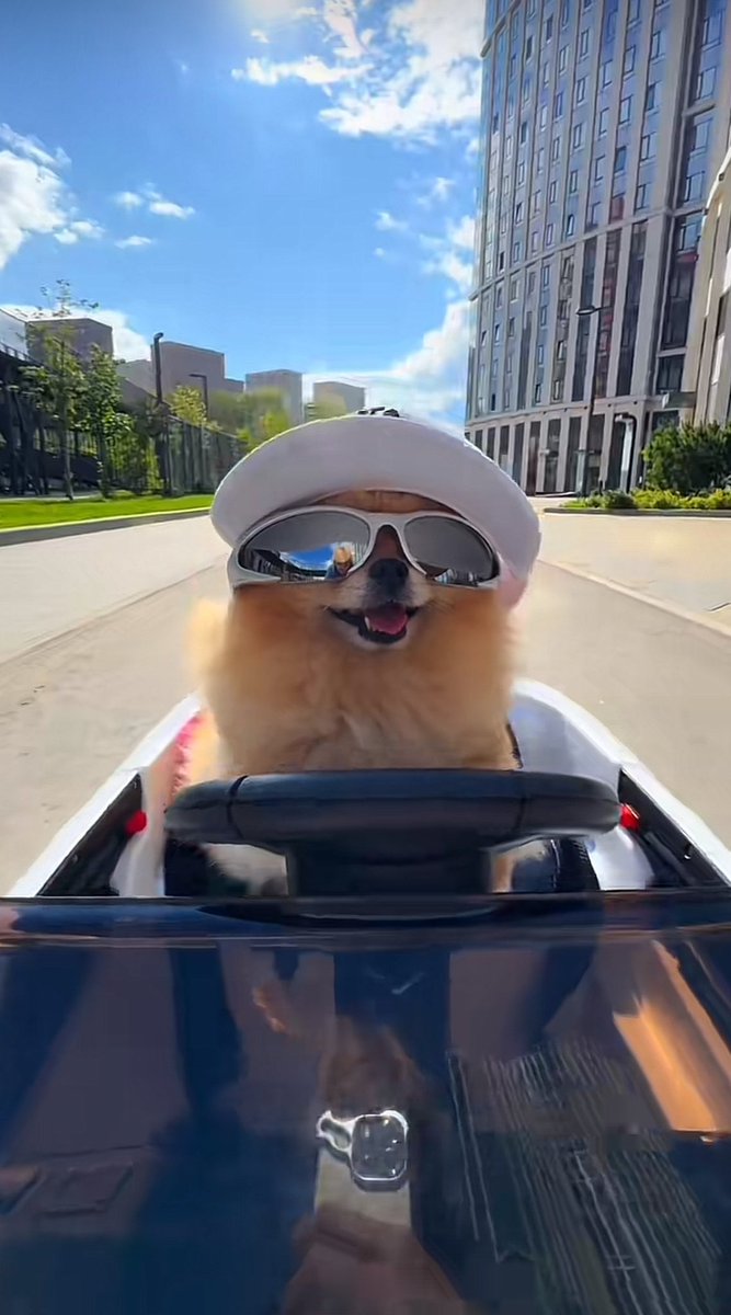 Zen의 답글에 첨부된 장난기 있는 Gkori 밈 이미지