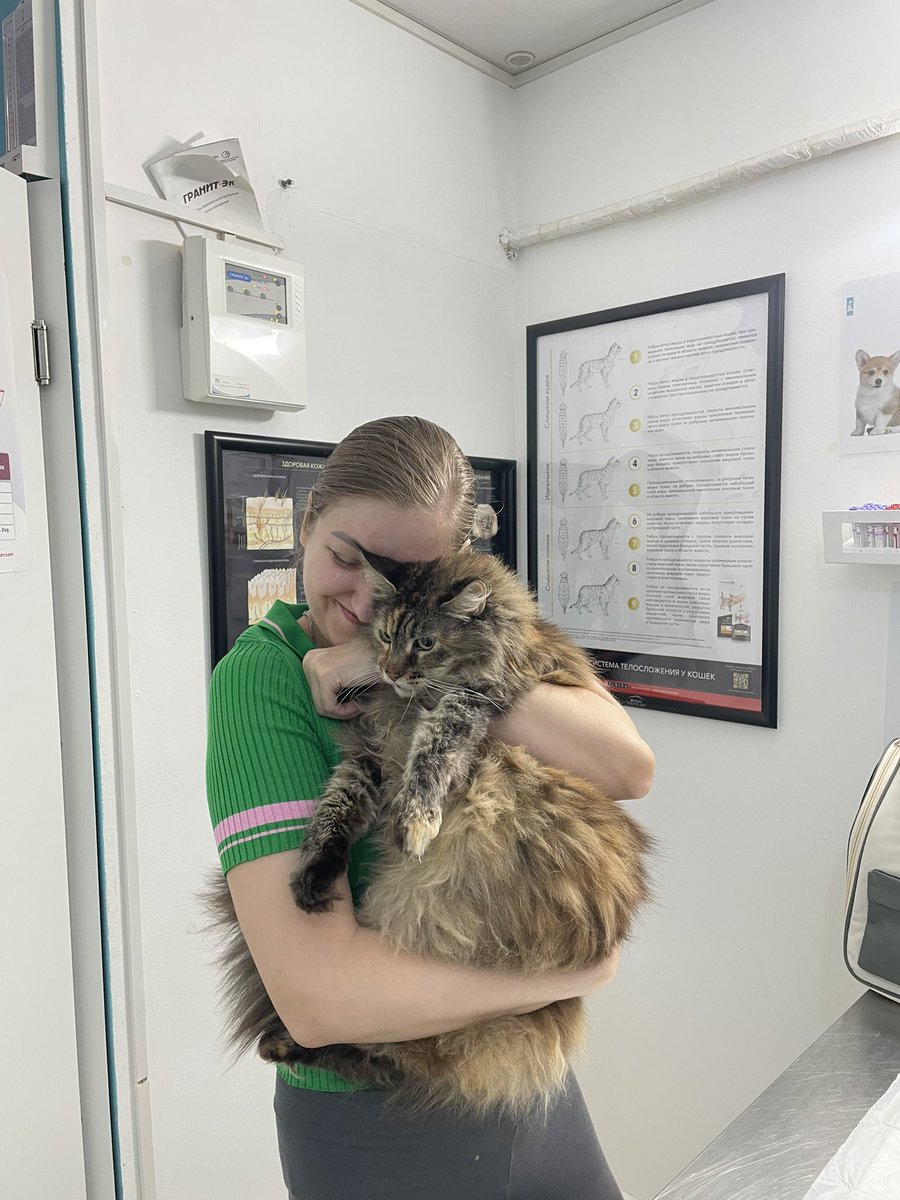 Елена tweet media