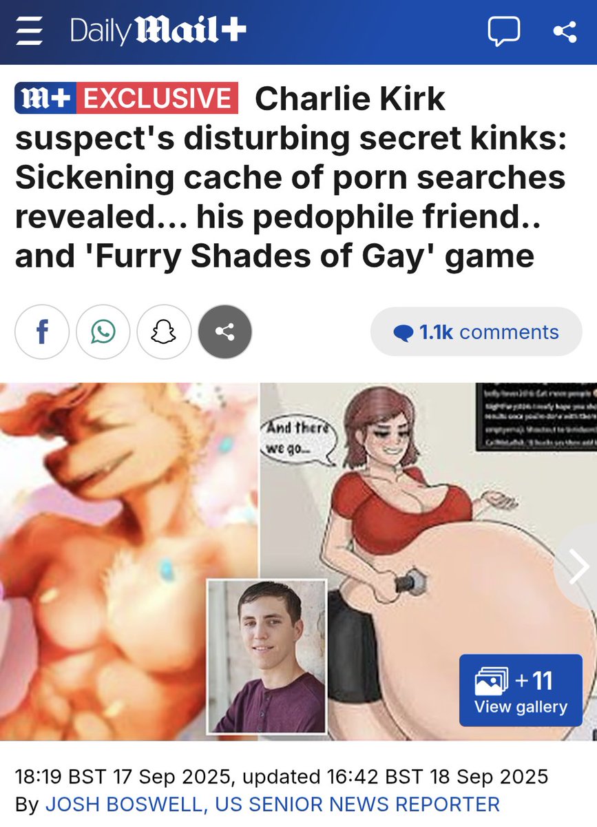 Accused Charlie Kirk assassin Tyler Robinson played pornographic "furry" games online and followed artists known to draw cartoons depicting pedophilia.

Porn is ruining men and in turn, ruining society. There is ample evidence that porn rewires the brain, and motivates men to