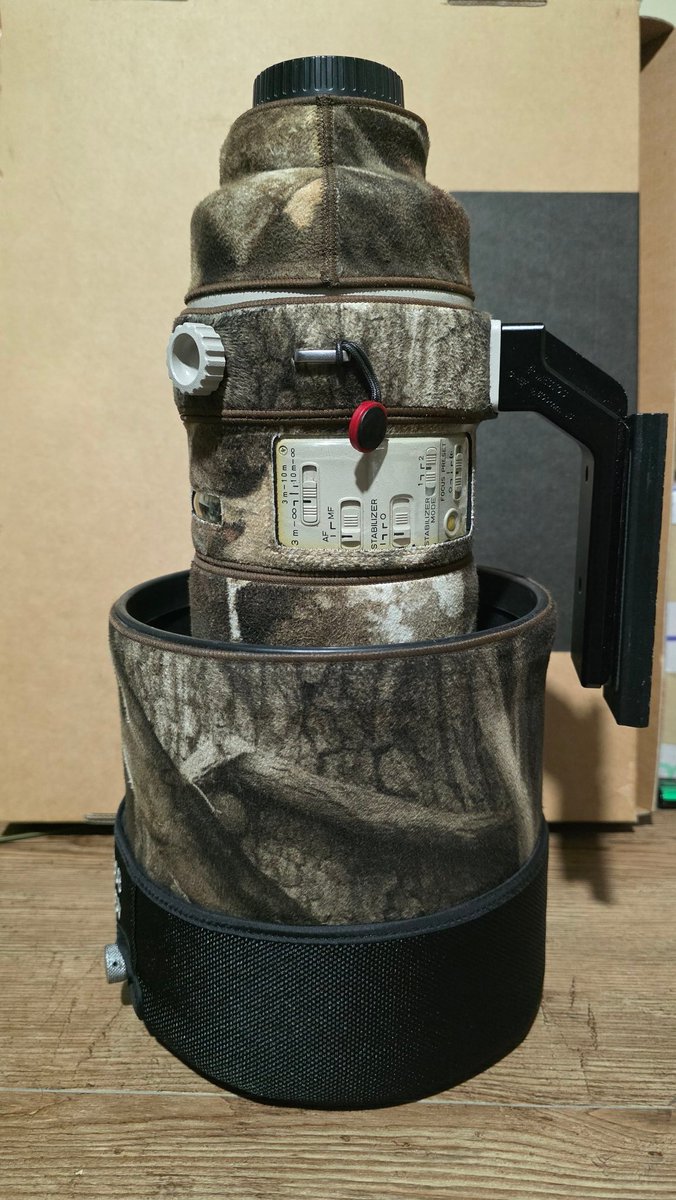 오늘 입양 갔어요
내애기 잘 살어🥲