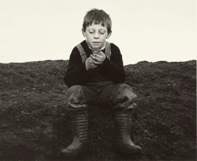 literlandweb1's tweet image. "Cada persona necesita aprender desde la infancia cómo pasar tiempo con uno mismo. No significa que uno deba ser solitario sino que no debiera aburrirse consigo mismo porque si se aburre en su propia compañía está en peligro en lo que a su autoestima se refiere".
Andrei Tarkovski