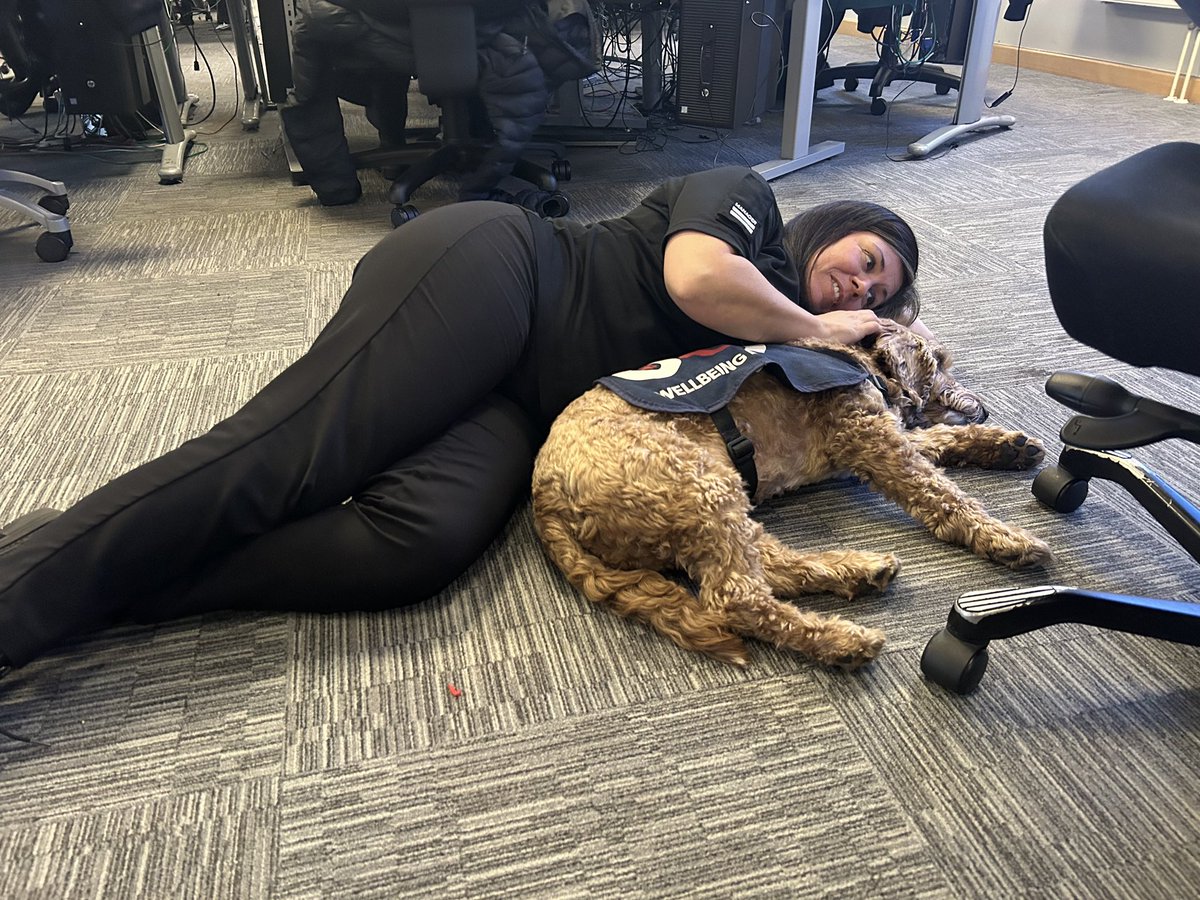 Happy retirement Gary the <a href="/OscarKiloUK/">Oscar Kilo</a> OK9 Wellbeing and Trauma Support Dog! After years of providing happiness and support Gary is going to put his paws🐾 up and enjoy some well deserved time off! He has made a lasting impression on officers and staff in <a href="/WestYorksPolice/">West Yorkshire Police</a>  🙏🐕🐾