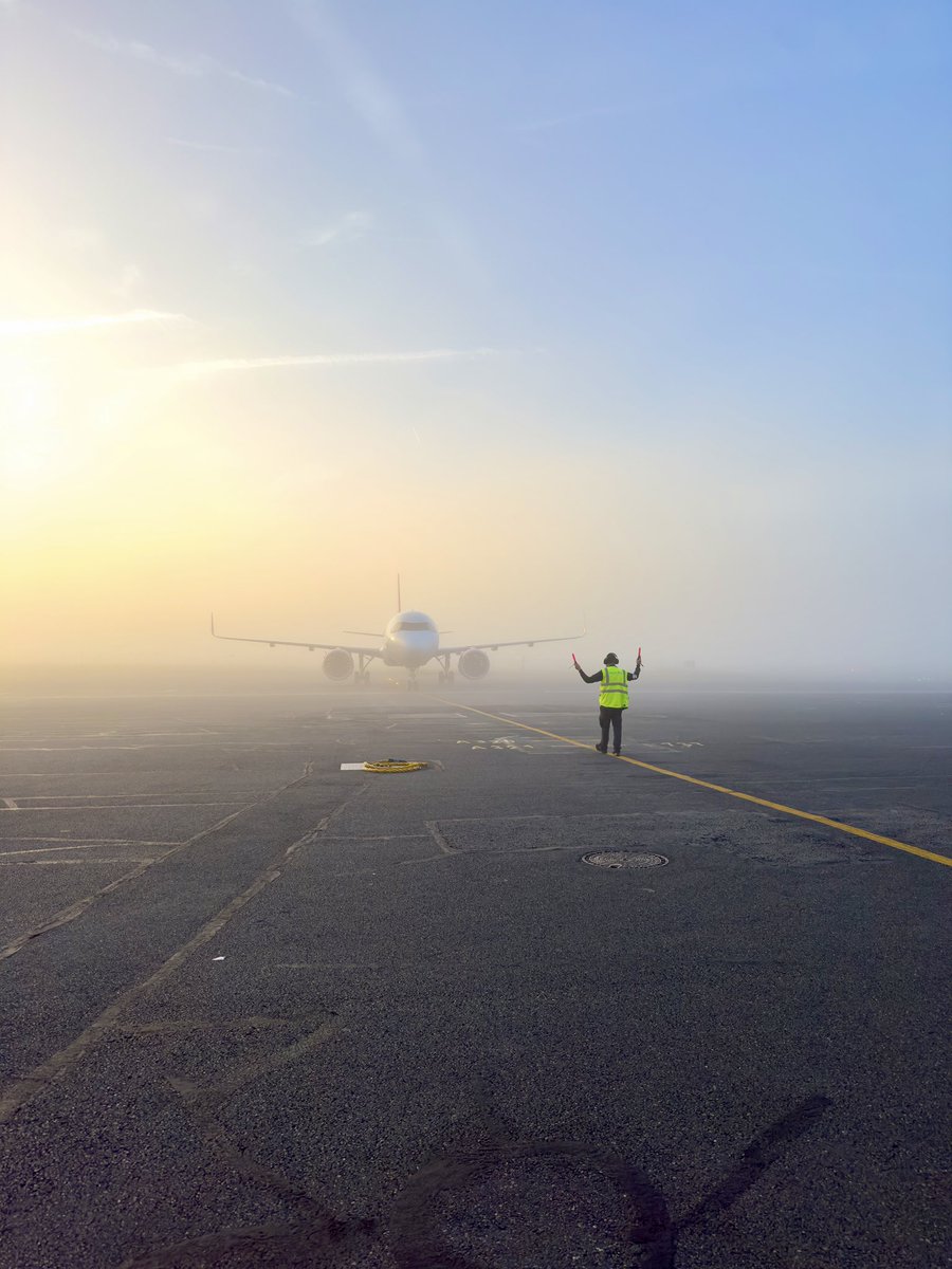 Ornella ✈️ tweet media