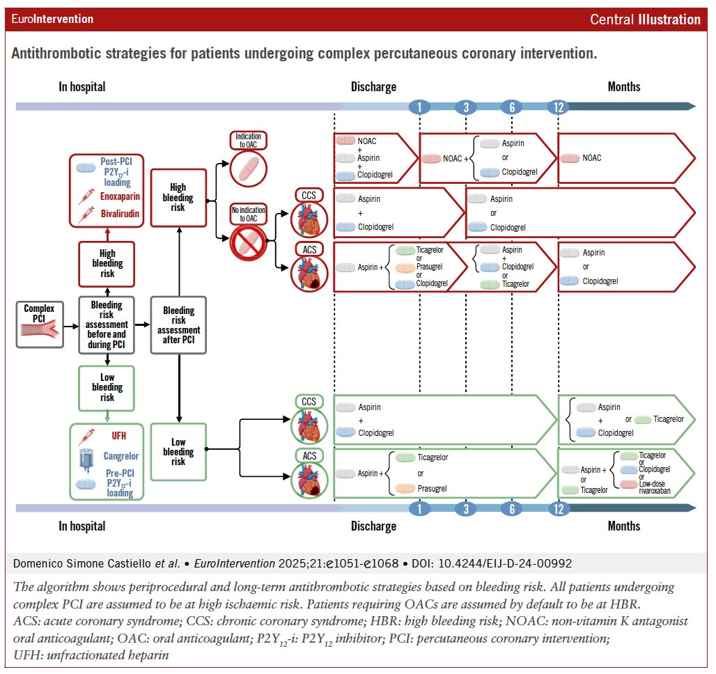 EuroInterventio's tweet image. NEW in EuroIntervention: a State-of-the-Art review on #antithrombotictherapy in complex #PCI. Balancing ischemic protection with bleeding risk remains one of the greatest challenges in this setting. This paper discusses periprocedural and long-term management strategies,…