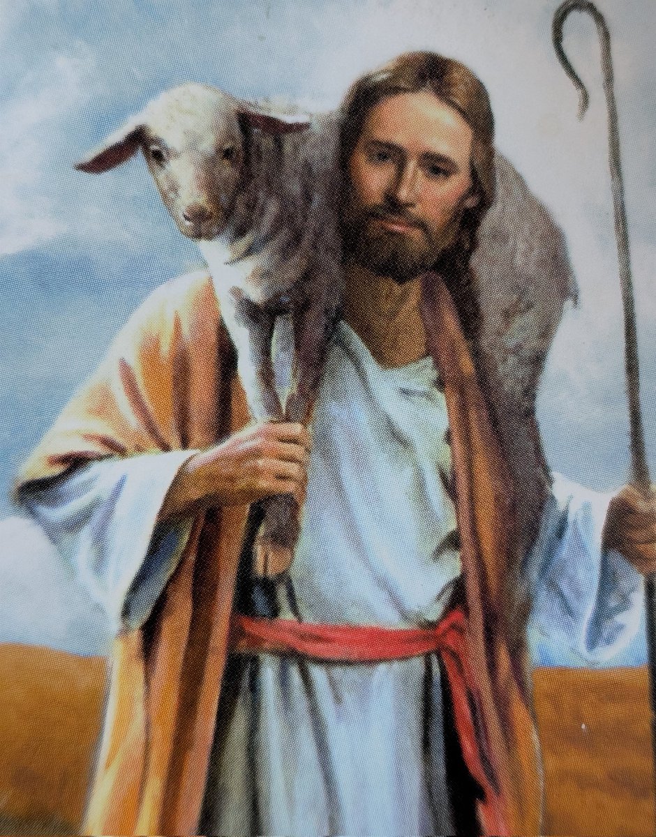 Sensible Pirate tweet media