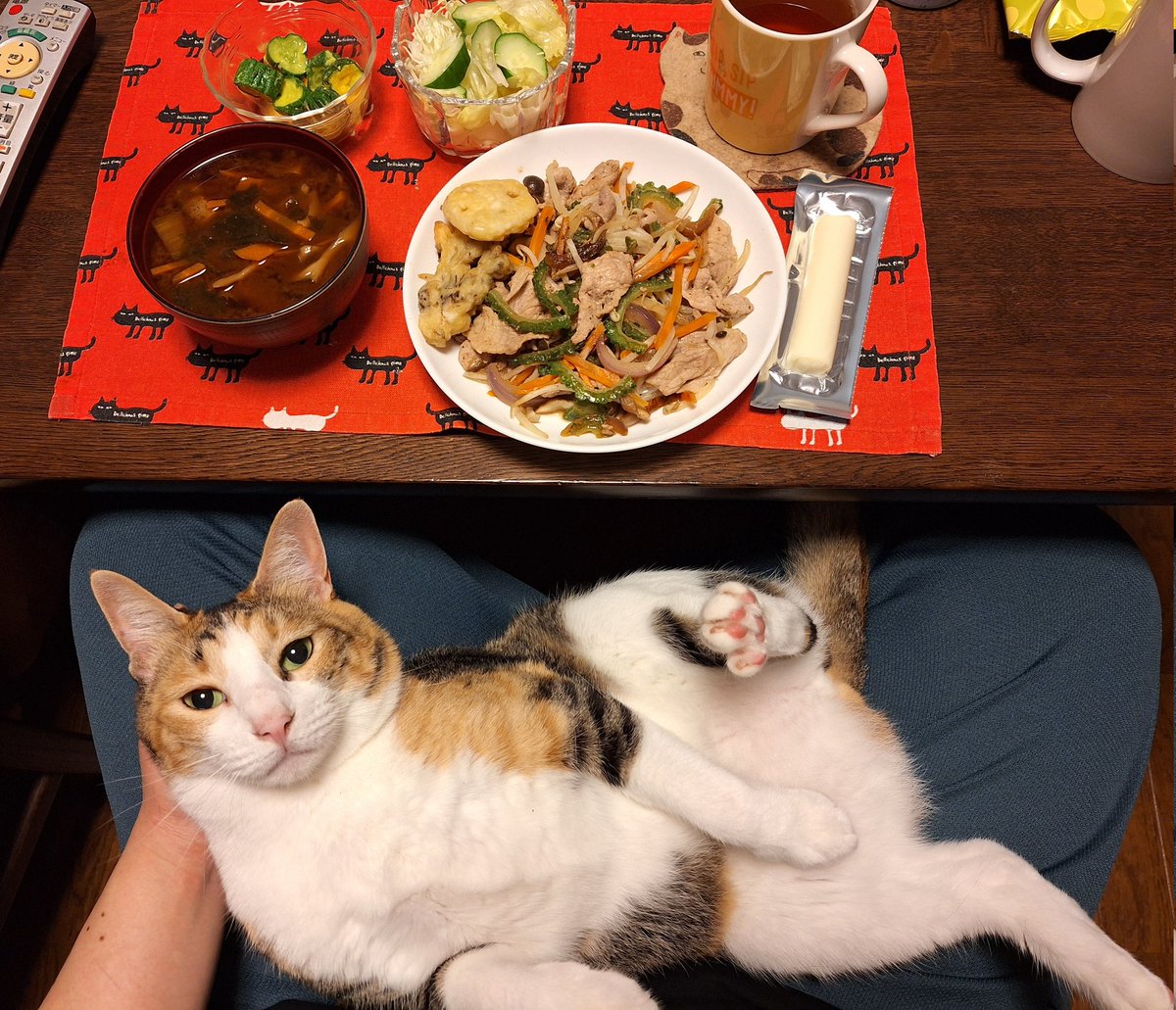 肉野菜炒めギチギチチーズたべました