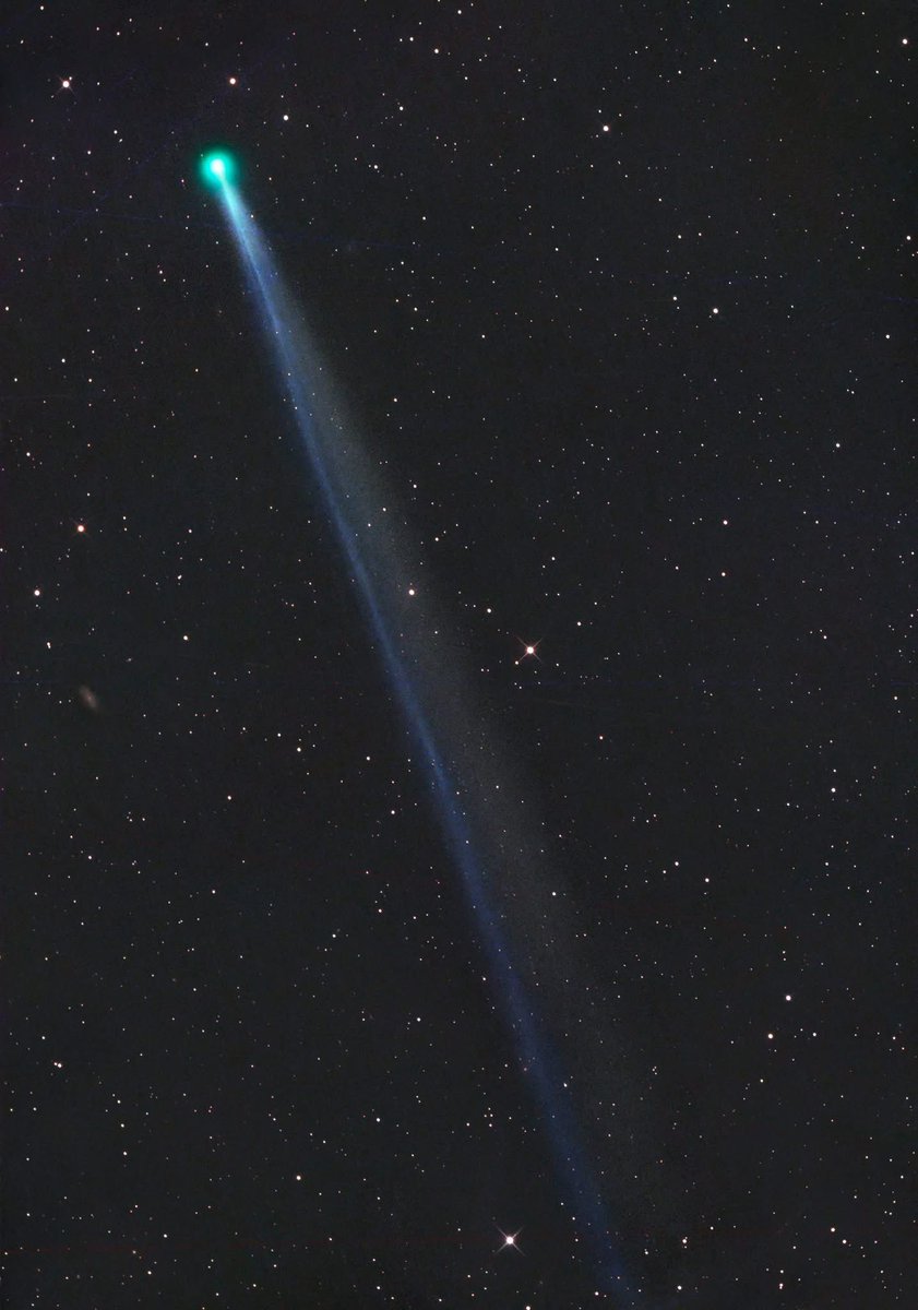 Con Stoitsis tweet media