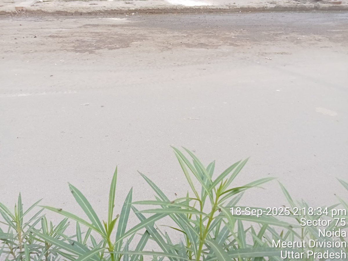 NOIDA Authority tweet media