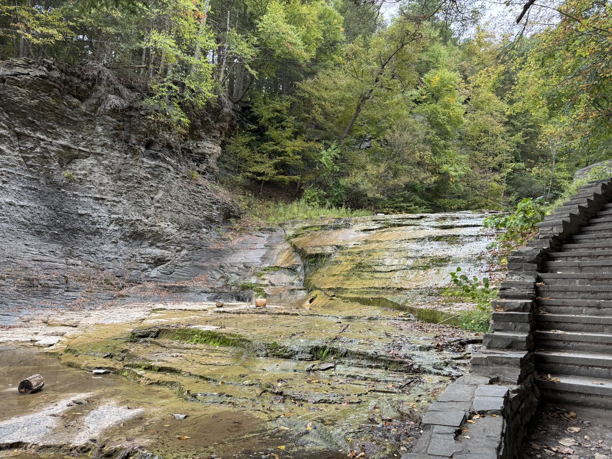 EnterprisingEngine93 tweet media