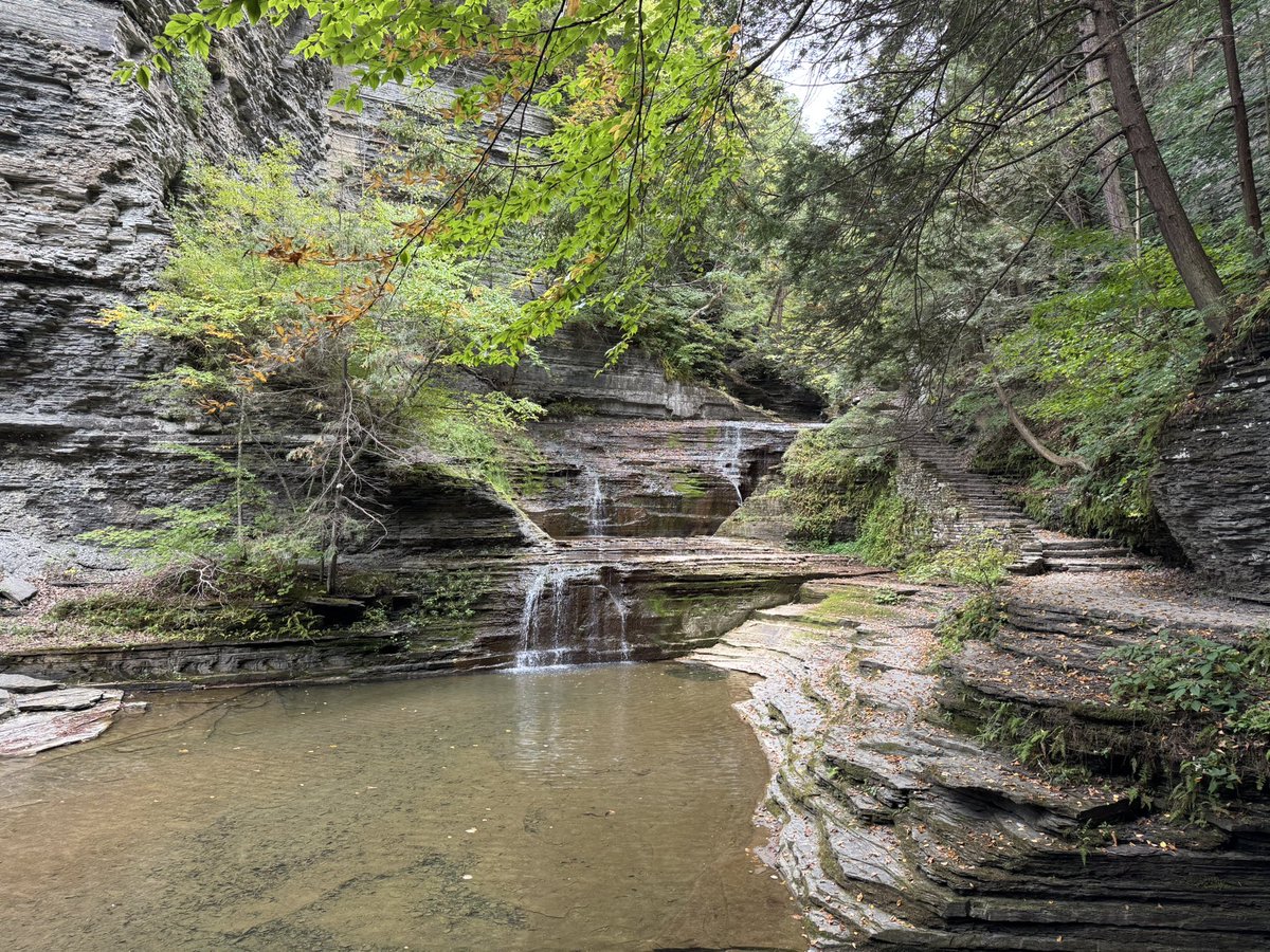 EnterprisingEngine93 tweet media