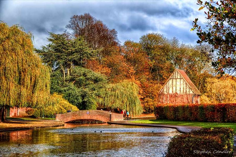 Stephen Candler tweet media