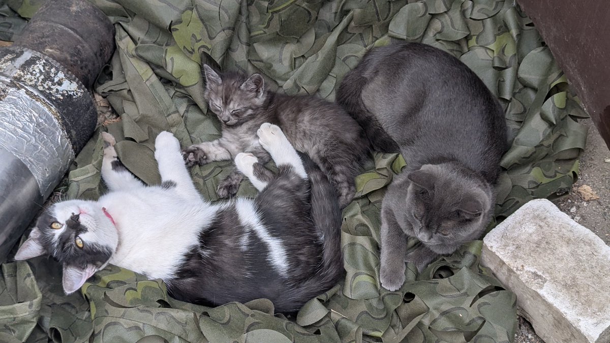 Всі поспали після обіду?