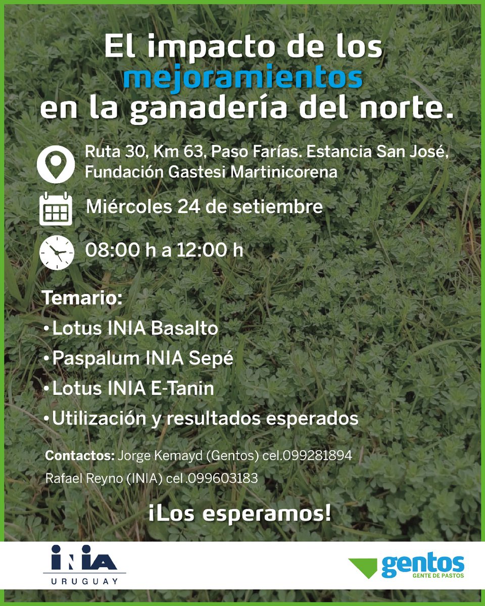🌱 ¿Cómo inciden los mejoramientos forrajeros en la ganadería del norte?

Te invitamos a una jornada de campo con INIA y Gentos para conocer resultados y experiencias.
    📍Paso Farías, Artigas
    📅Mié 24/9 – 08:00 a 12:00 h
 
👉Más info: inia.uy/actividades/el…