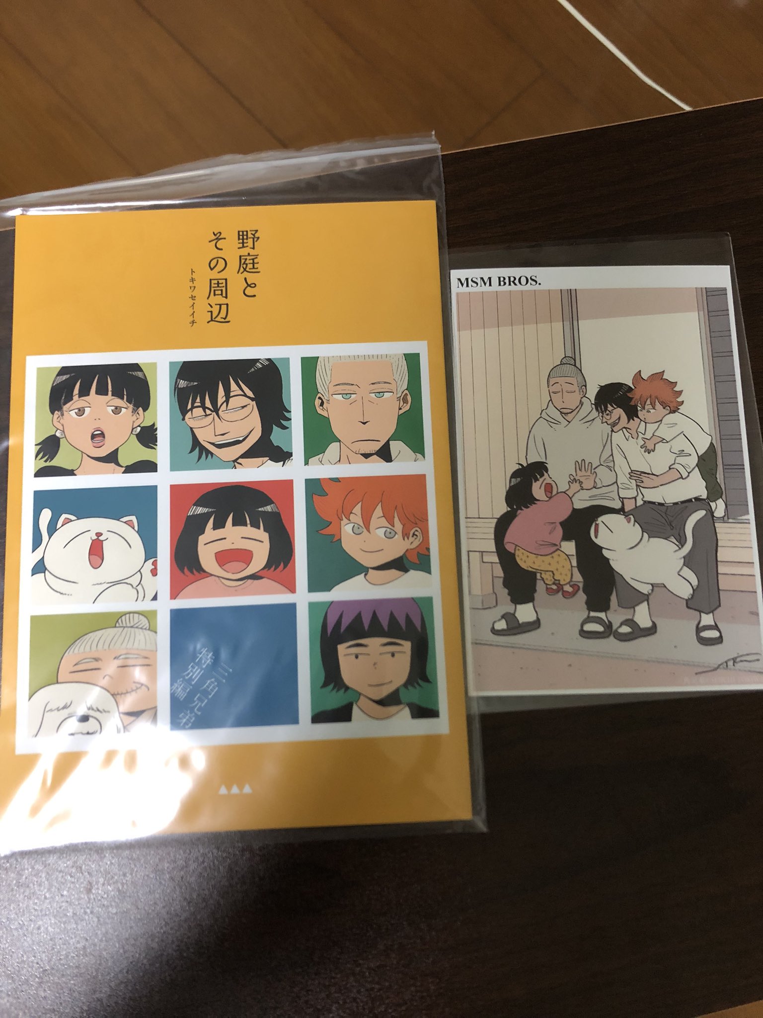 トキワセイイチ＠『三角兄弟』発売中 (@seiichitokiwa) / X