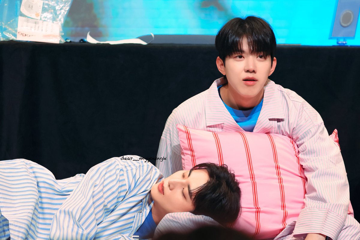 250918 #영케이 #도운 #데이식스
집 잘지키는 고양이와 강아지🐱🐶