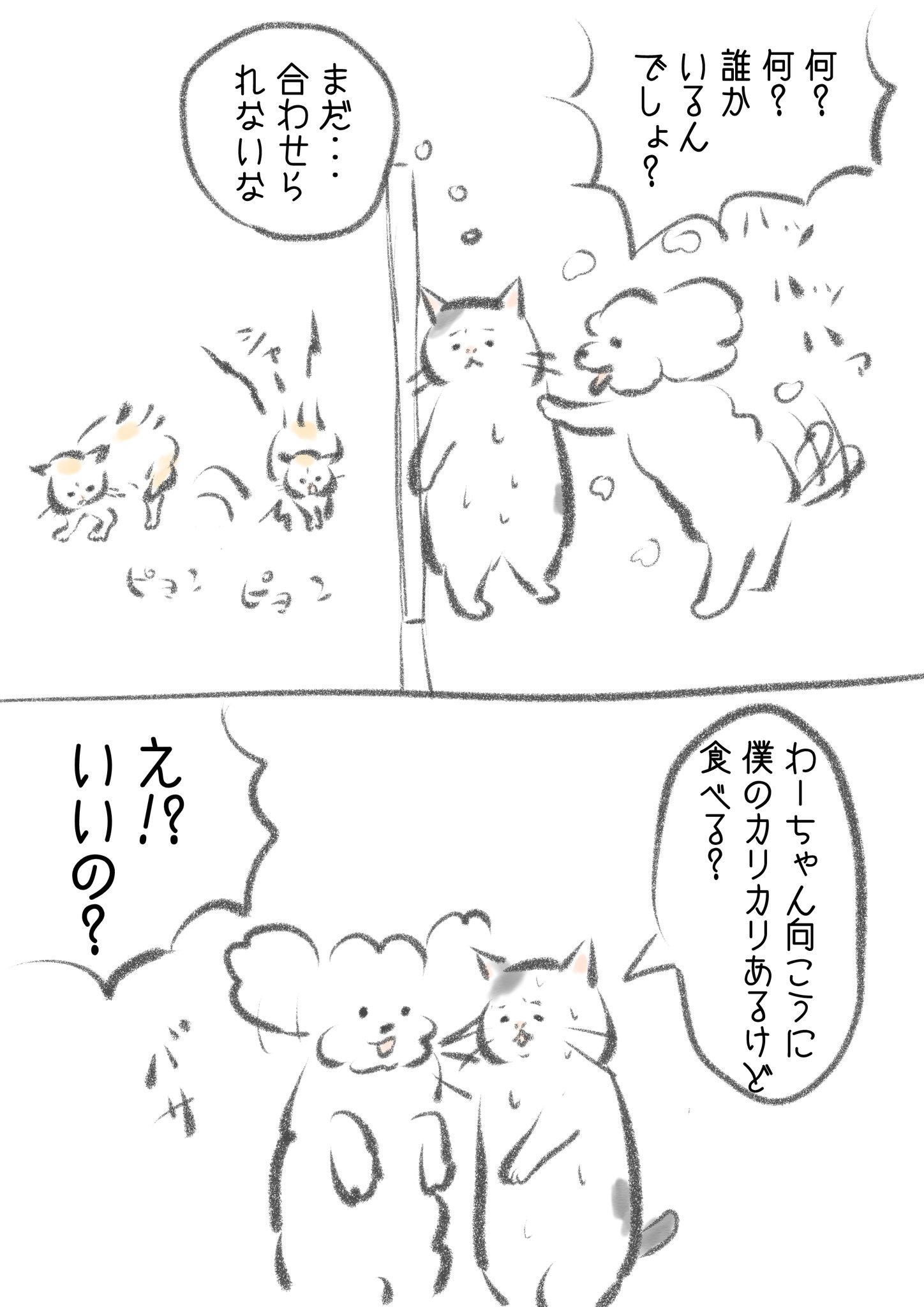 猫さんです！他の方はご購入頂けませんのでご注意下さいませ。 かわさきです。 on X: 